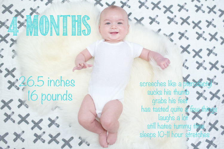 Finn Is 4 Months Old! – All the Joie